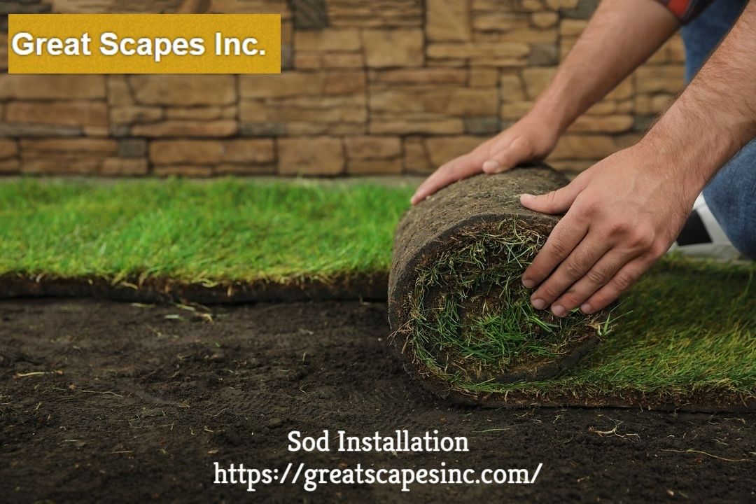 Sod Installation
